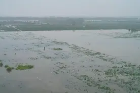 上海市慈善基金会启动“驰援京津冀等地区水灾”专项行动图片