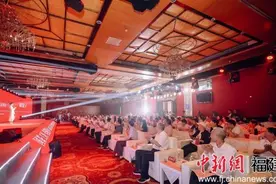 品质品牌并举 福建福鼎助推白茶产业高质量发展图片