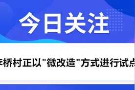 洪山区李桥村正以“微改造”方式进行试点图片
