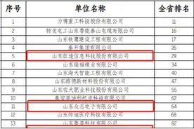 喜报！泰安市数字经济产业链商会（协会）4家会员企业入选2023年山东民企百强系列榜单图片