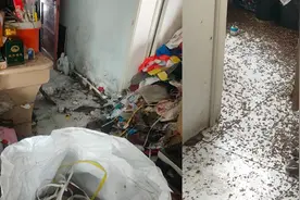 太原一小区住户家满地垃圾蟑螂遍地，街道：垃圾有点多，社区已经清理了两三天视频封面