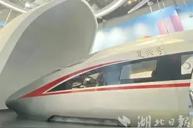 湖北省科技馆每日票数增至7000张 提醒公众谨防“代预约”上当受骗图片