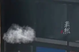 昆明车站外多条绿蛇在垃圾箱上爬行 警方：系绿瘦蛇没有毒图片