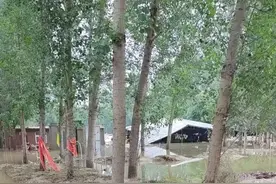 涿州村民用铲车为村里清淤，女儿发视频被指炒作：只是分享灾后重建生活图片