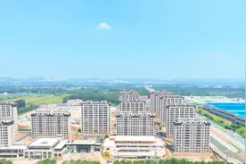 城市更新按下快进键，枣庄高新区产城融合项目迎来新进展图片