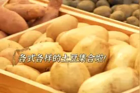 一颗土豆百种味道，千种吃法，这么做简单又好吃！图片