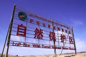 “罗布泊自驾车队4人遇难”事件调查：寂静的无人区和一次失控的探险之旅图片