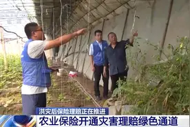 车辆涉水如何赔付？车损不同等级怎么鉴定？一文了解图片