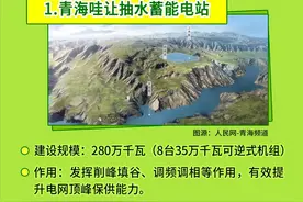 科普图解 | 西部最大抽水蓄能电站 为新型能源体系“添砖加瓦”图片