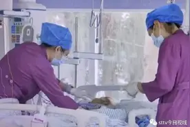 汕头一男子自行在家烹饪食用河豚中毒，所幸经抢救保住性命图片