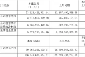 晶科能源：2023年上半年净利润38.43亿元 同比增长324.58%图片