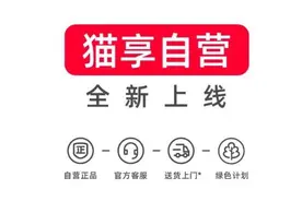 “猫享”自营店即将关停，阿里“魂断”自营梦？图片