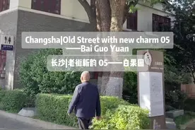 长沙|老街新韵 05——白果园(Changsha|Old Street with new charm 05——Bai Guo Yuan)图片
