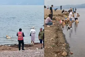 游客放狗下湖游泳将被罚款且上旅游黑名单？云南抚仙湖管理局：没有黑名单一说，禁止宠物入湖，将由执法人员处理图片