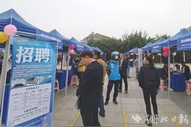 “就”在金秋 武汉市蔡甸区这场招聘会开到群众家门口图片