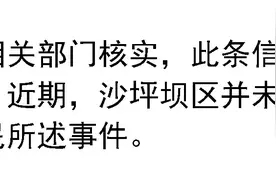 【捉谣记】花万亿元推平黄土高原造5亿亩良田？惠州一地将举办跨年夜烟花秀？真相来了图片