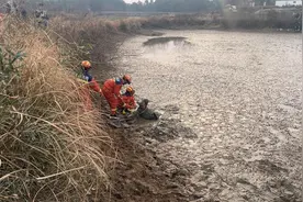 老人跌入泥潭越陷越深，湖北黄梅消防紧急救援图片
