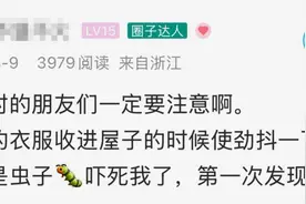 收衣服时吓一跳，里面全是虫子！杭州网友提醒：一定要注意！图片