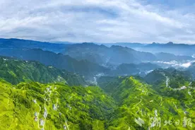 夷陵邓村乡：翠绿织锦秀 生态茶乡入画来图片