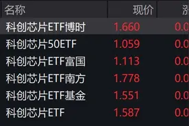 科创芯片概念股走强，相关ETF涨逾2%，多只创上市新高图片