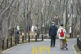 春意浓！济南百花公园玉兰花初吐芬芳 | 镜相图片