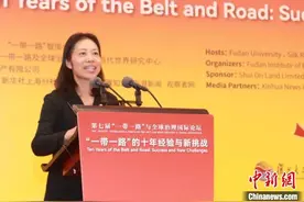 中外专家学者等上海议共建“一带一路”的过去、展望未来图片