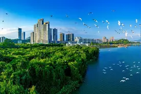 优秀！广州市增江、南岗河—木强水库入选省级美丽河湖图片