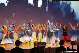2025全日本华侨华人蛇年春晚在东京举行图片