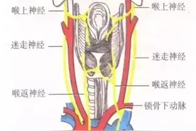 “唱歌跑调”居然救她一命？女生唱歌跑调 到医院竟查出恶性肿瘤图片