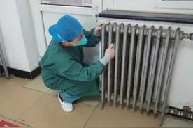 11月了为什么还有蚊子？专家：再等等，10℃以下就好了！图片