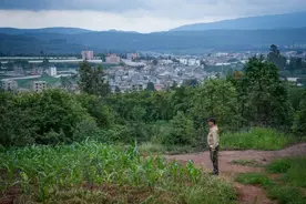 美好生活在云南｜昆明捡菌人：山间寻宝记图片