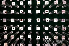 【高质量发展调研行】中国西南野生生物种质资源库：从“诺亚方舟”到“种子银行”图片