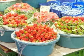 冬草莓上市啦！价格……图片