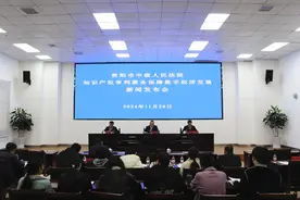 贵阳中院知识产权审判服务保障数字经济高质量发展图片