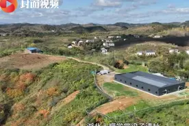 100万年前的“祖先”长什么样子？｜考古队长·视频视频封面