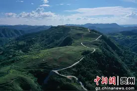 贵州台江：小小紫薯产量高，产业振兴势头强劲图片