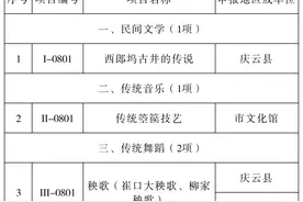 德州第八批市级非遗代表性项目名录公布图片