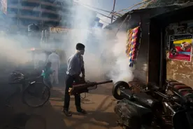 中国这种“微型炮”，印度人想买图片