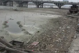 良好环境吸引国家级保护动物栖息于此，宿州新汴河变化为什么这么大？图片