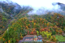 南岸本土民宿牵手城口 探索发展新模式助力乡村振兴图片