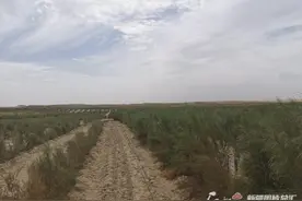 且末县“老兵治沙队”有了不动产权证图片