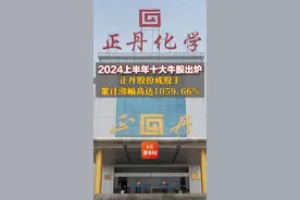 2024上半年十大牛股出炉，正丹股份成股王，累计涨幅高达1059.66%图片