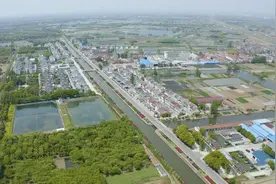 常州金坛：党建引领助整治，人居环境焕新颜图片
