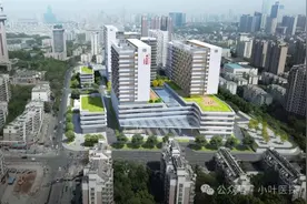 小叶医探｜上海曙光医院安徽医院已设立5个长三角名中医工作室图片