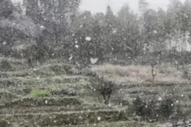 刚刚！福建下雪了！图片