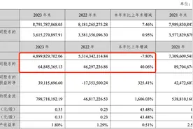 尚品宅配2023年净利润增长40%，新开加盟店463家图片