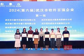 武汉出台促进软件和信息技术服务业发展措施，牵头揭榜企业最高可获2000万元资金支持图片