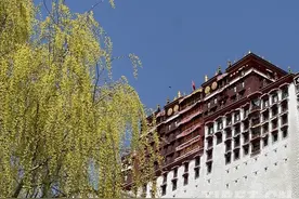 布宫脚下春意盎然图片
