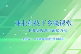 林业科技下乡微课堂|小树型板栗的嫁接办法图片