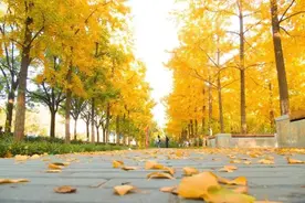 美到窒息 臭到晕厥 “ 随便吃了”还会中毒！图片